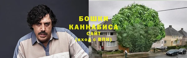 дживик Анжеро-Судженск