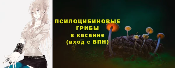 кокс Нея