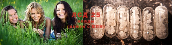 кокс Нея