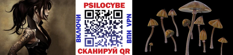 Псилоцибиновые грибы MAGIC MUSHROOMS  Севастополь 