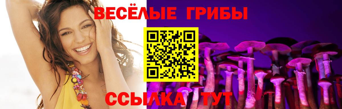 Галлюциногенные грибы прущие грибы Севастополь