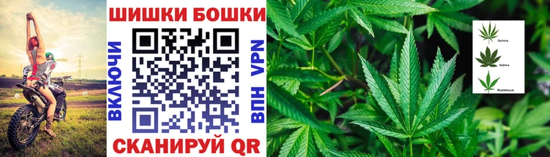 Бошки марихуана Ganja Севастополь